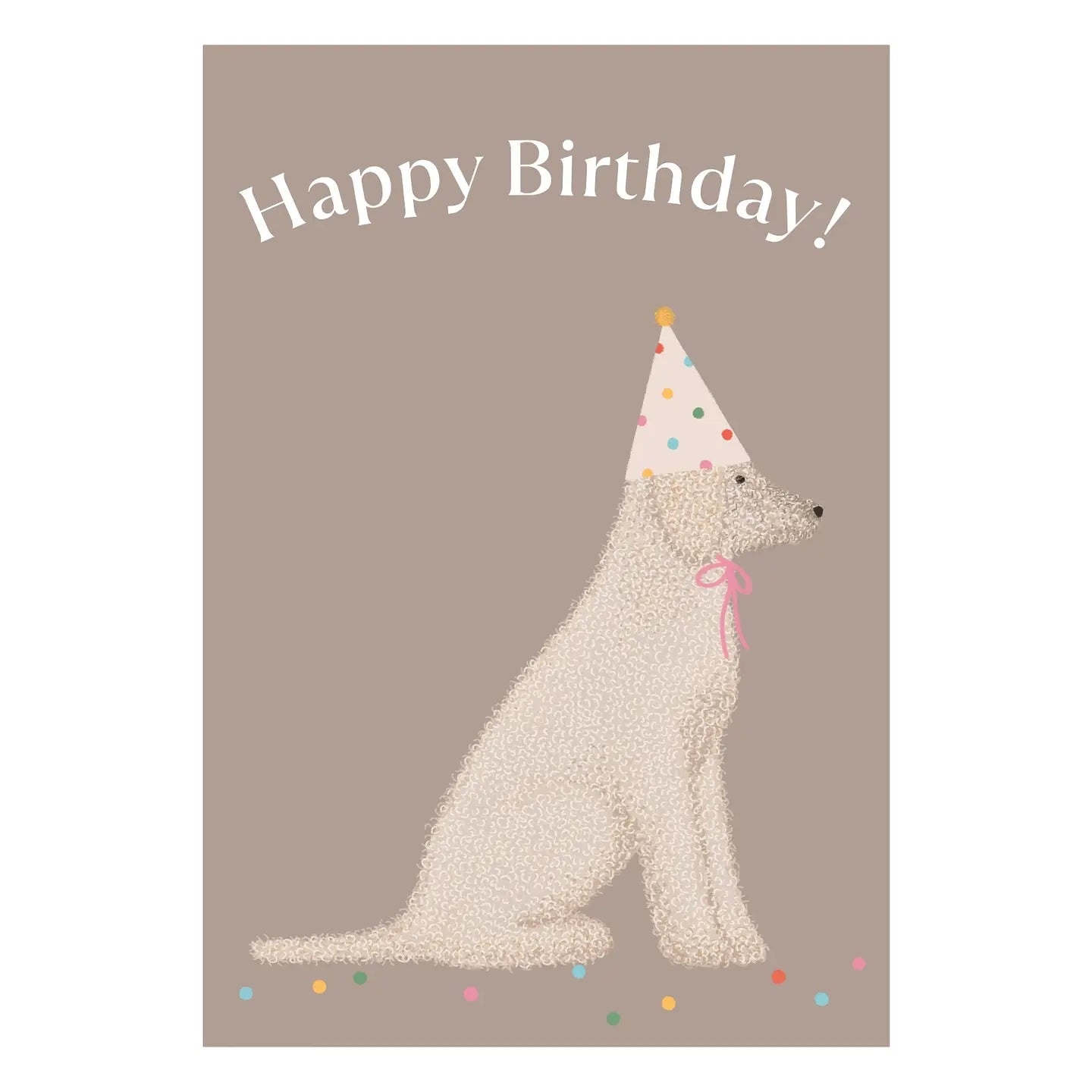 Happy Birthday Šarka Poster