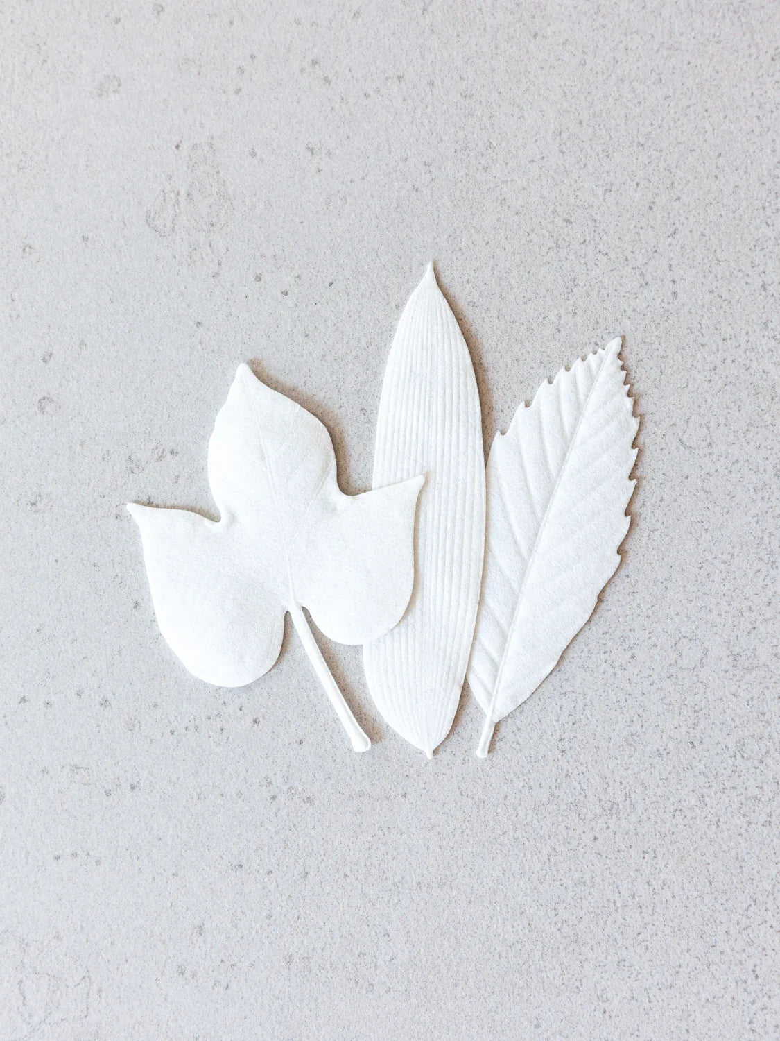 Candles+ Home Fragrances